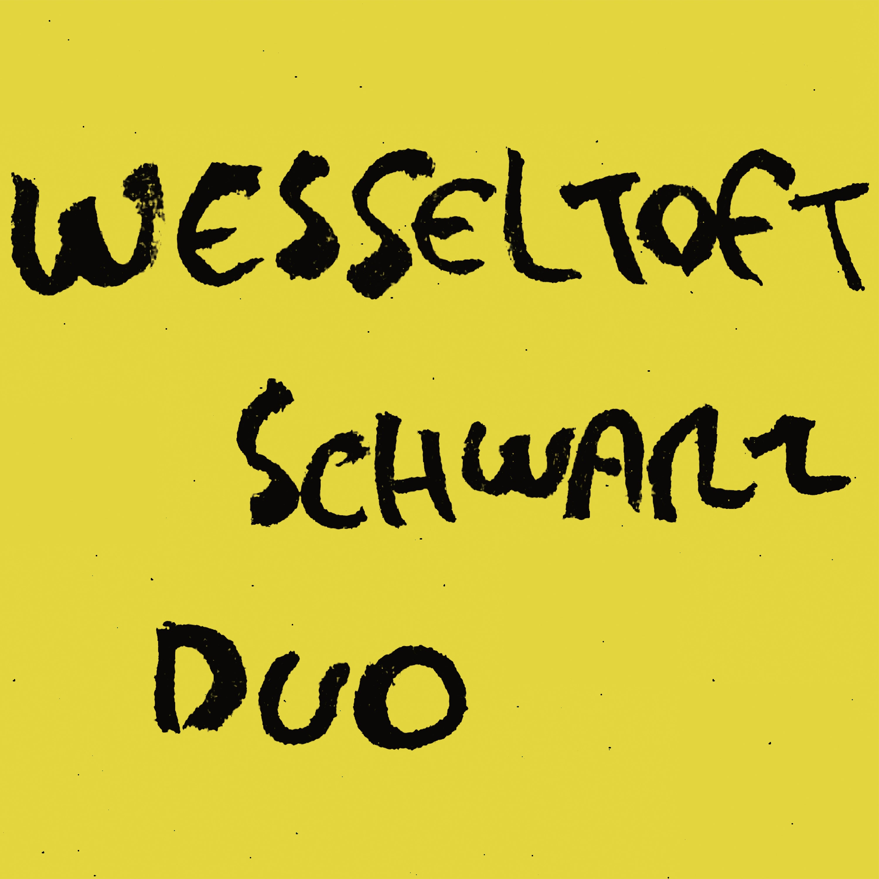 Henrik Schwarz & Bugge Wesseltoft: Duo (Vinyl)