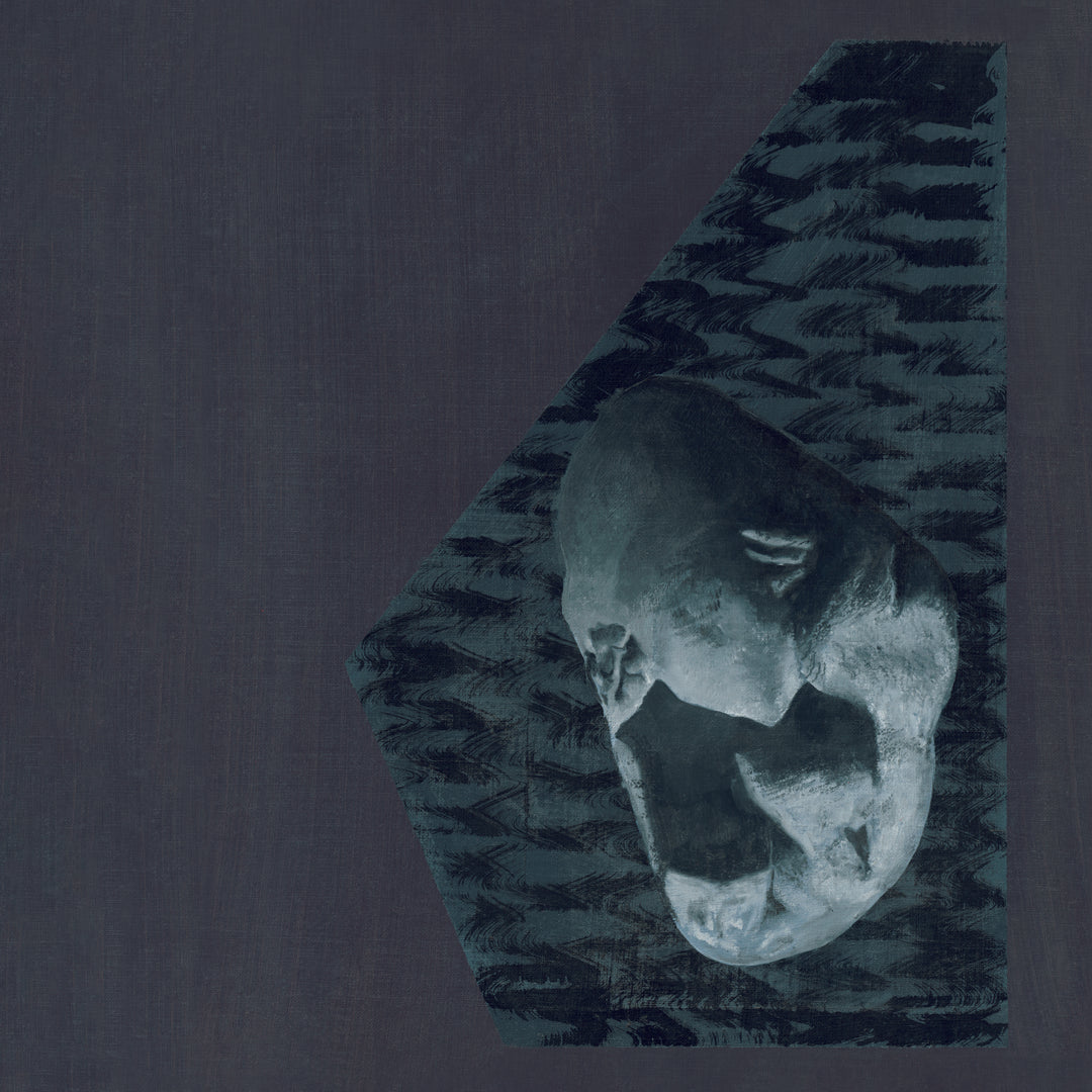 Music: ARCYDARO 02 (Vinyl, ARCYDARO 02)