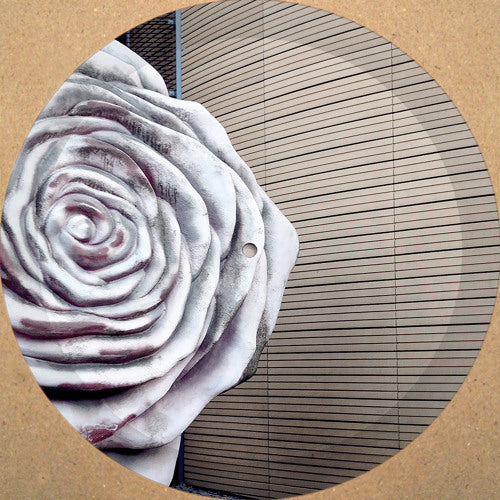 Music: Fleur (Vinyl, RMBS022)