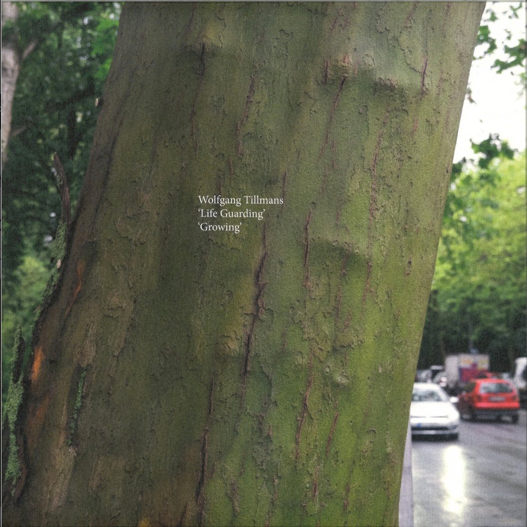 Music: Life Guarding / Growing (Vinyl, fragile09)