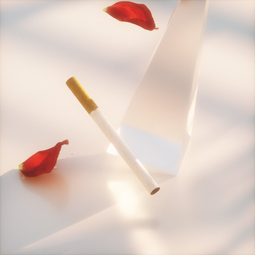 Music: Souvenirs (Vinyl, RVN021)