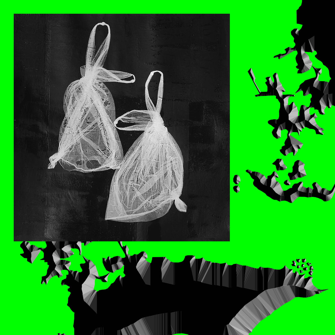Music: Karma Baby EP (Vinyl, IV86)