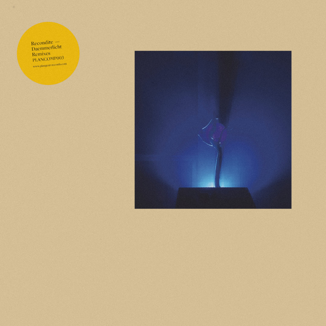 Music: Daemmerlicht Remixes (Vinyl, PLANCOMP003)