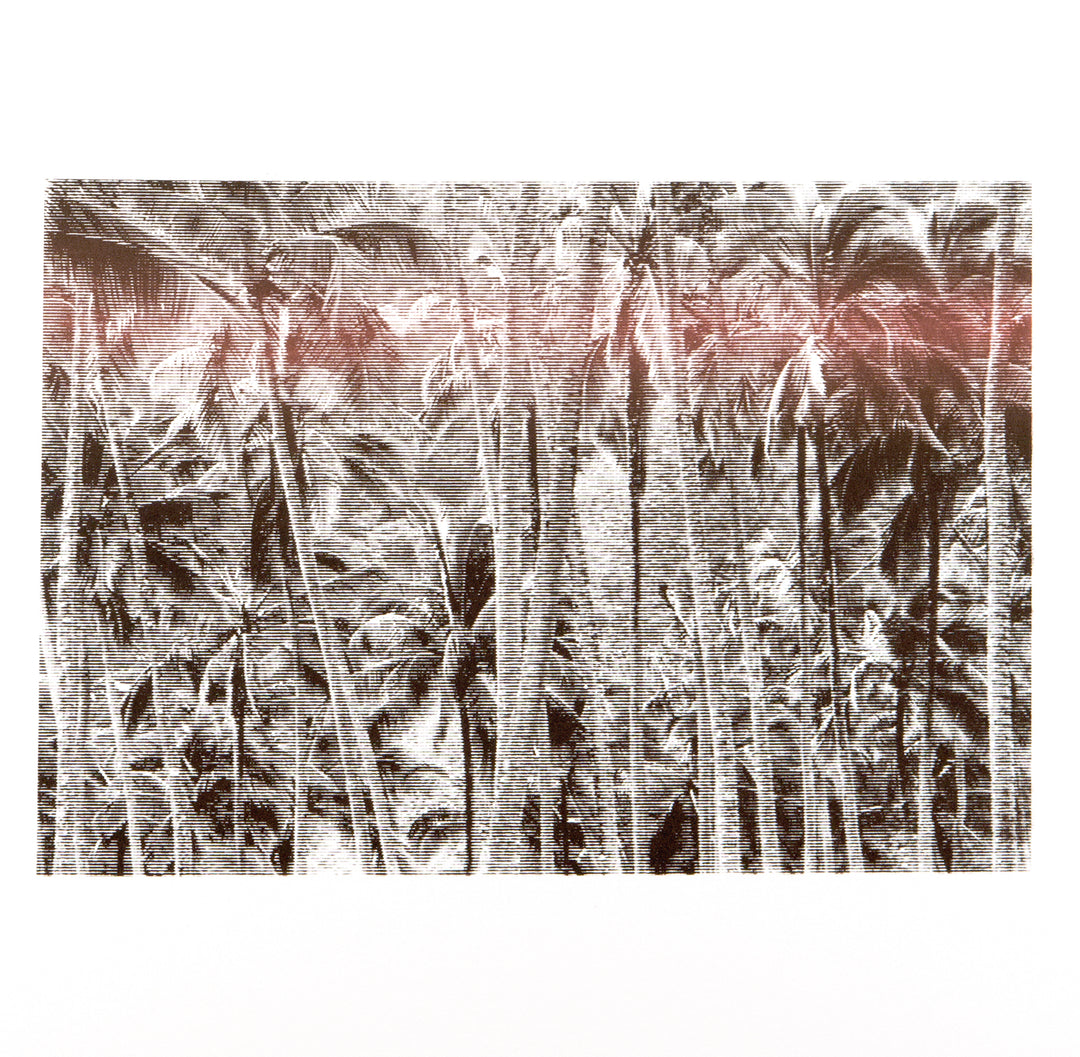 Poster: Zaun–005 EDITION (Zaun-005 EDITION)