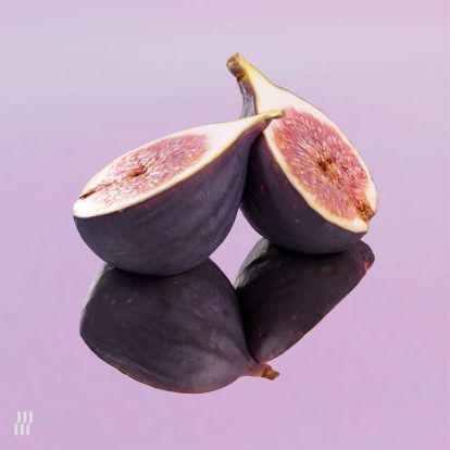 Music: TWEE (Vinyl, INTV022)