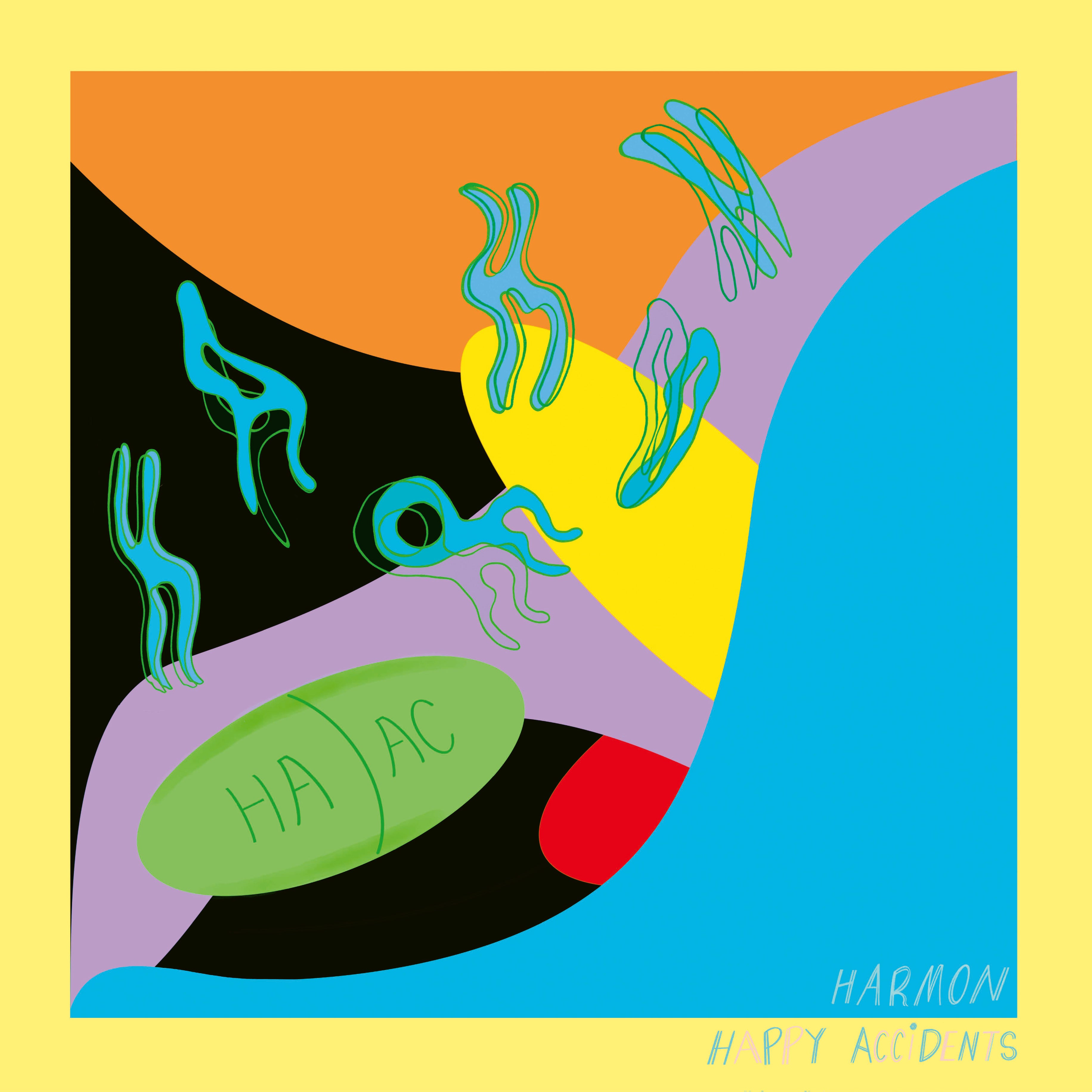 Henrik Schwarz & Bugge Wesseltoft: Duo (Vinyl)
