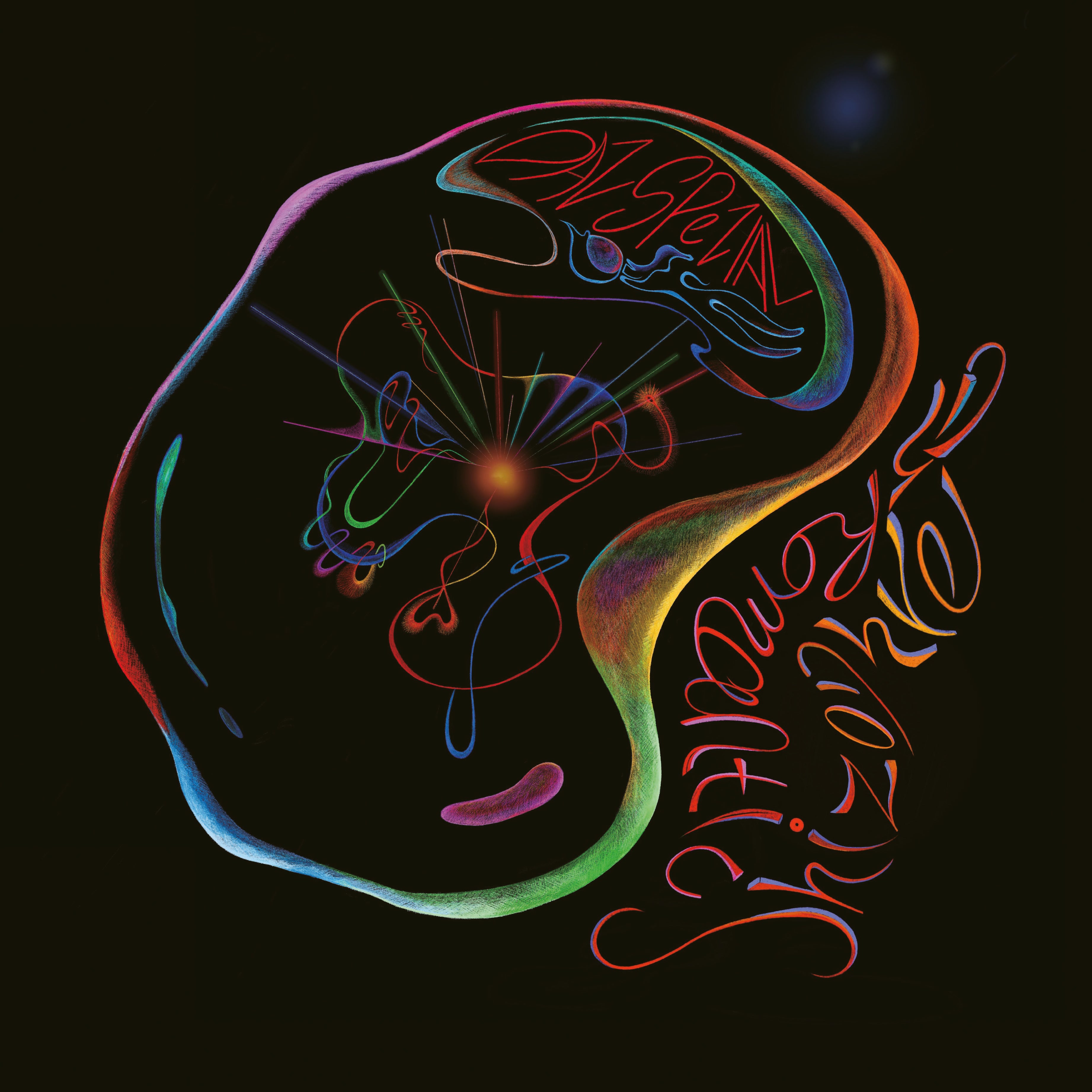 Das Spezial: Romantic Schizophremic (Vinyl)