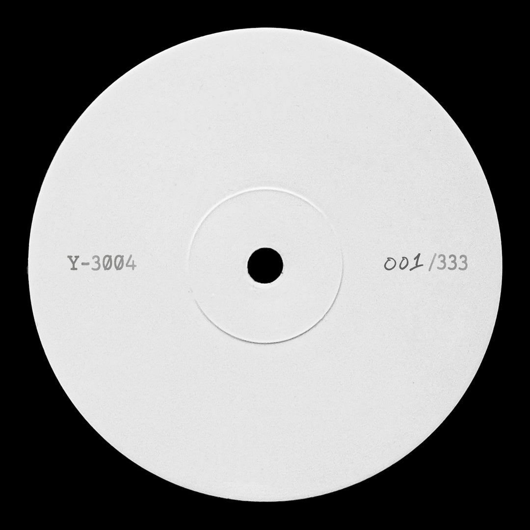 Y-3004