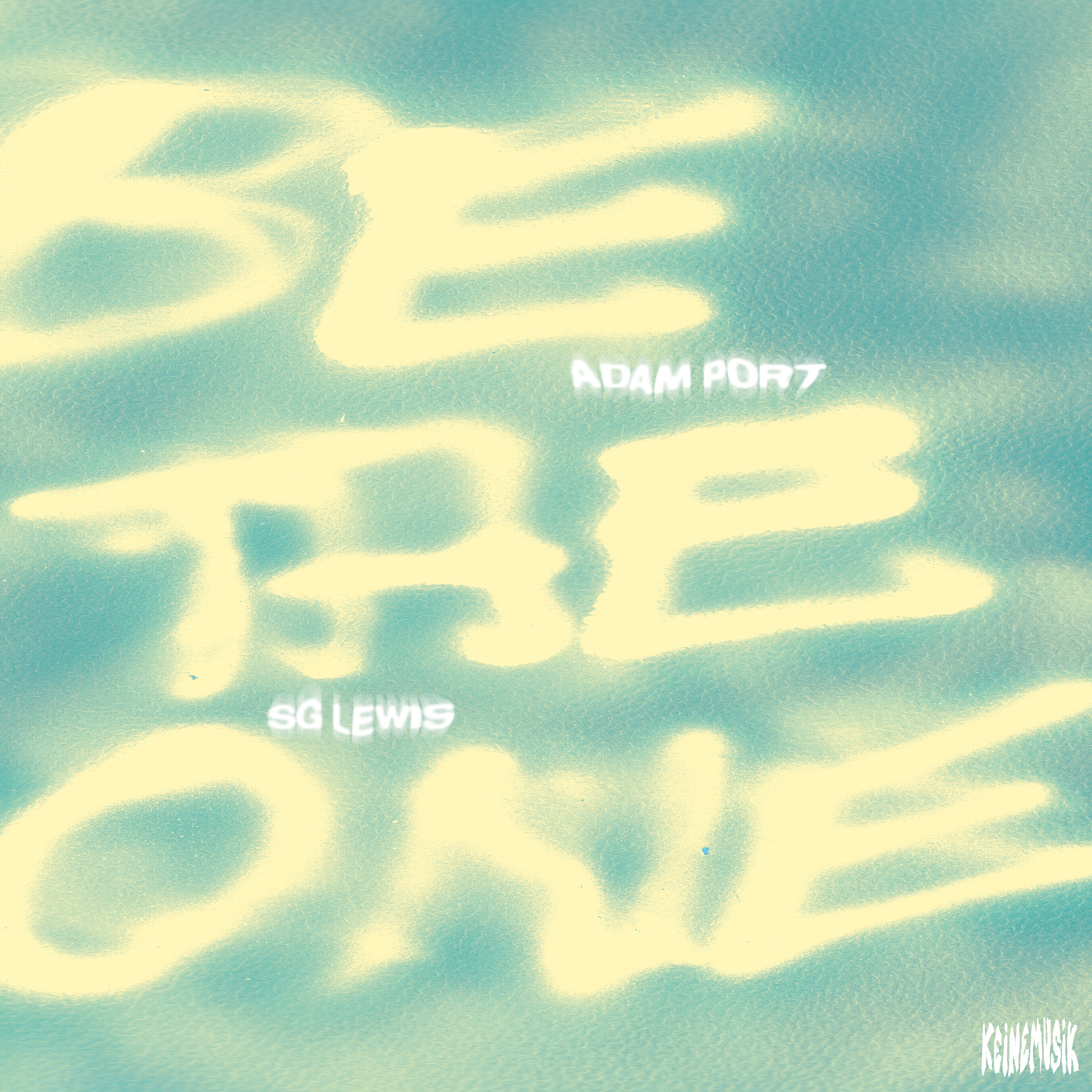 Adam Port, SG Lewis: Be The One (Vinyl)