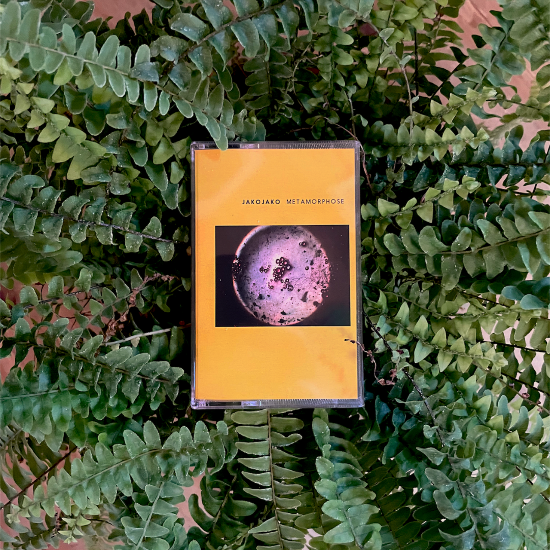 Music: Metamorphose Tape (Tape, Bigamo12T)