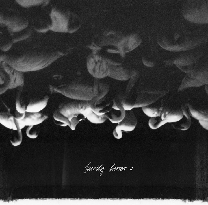 Music: FAMILY HORROR II (Vinyl, Kann22)