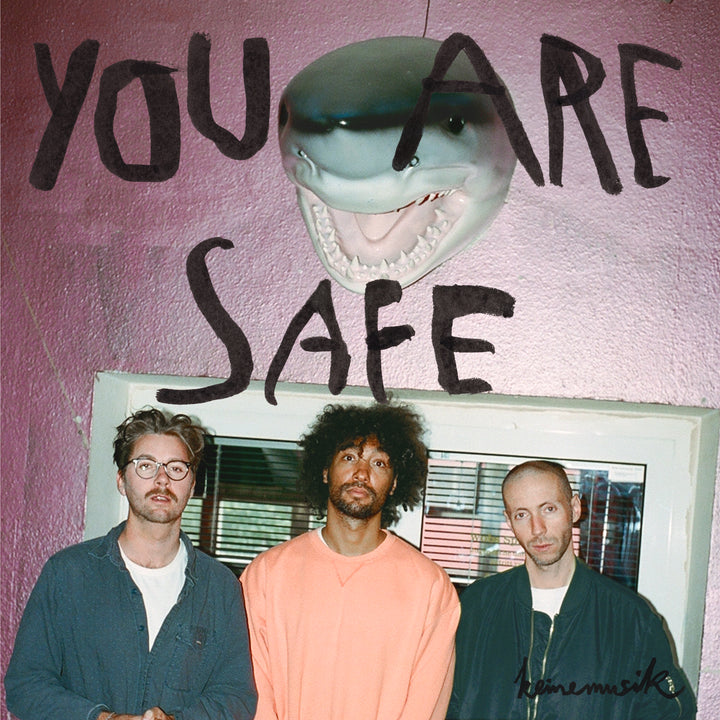 Music: You Are Safe (Vinyl, KM039S)