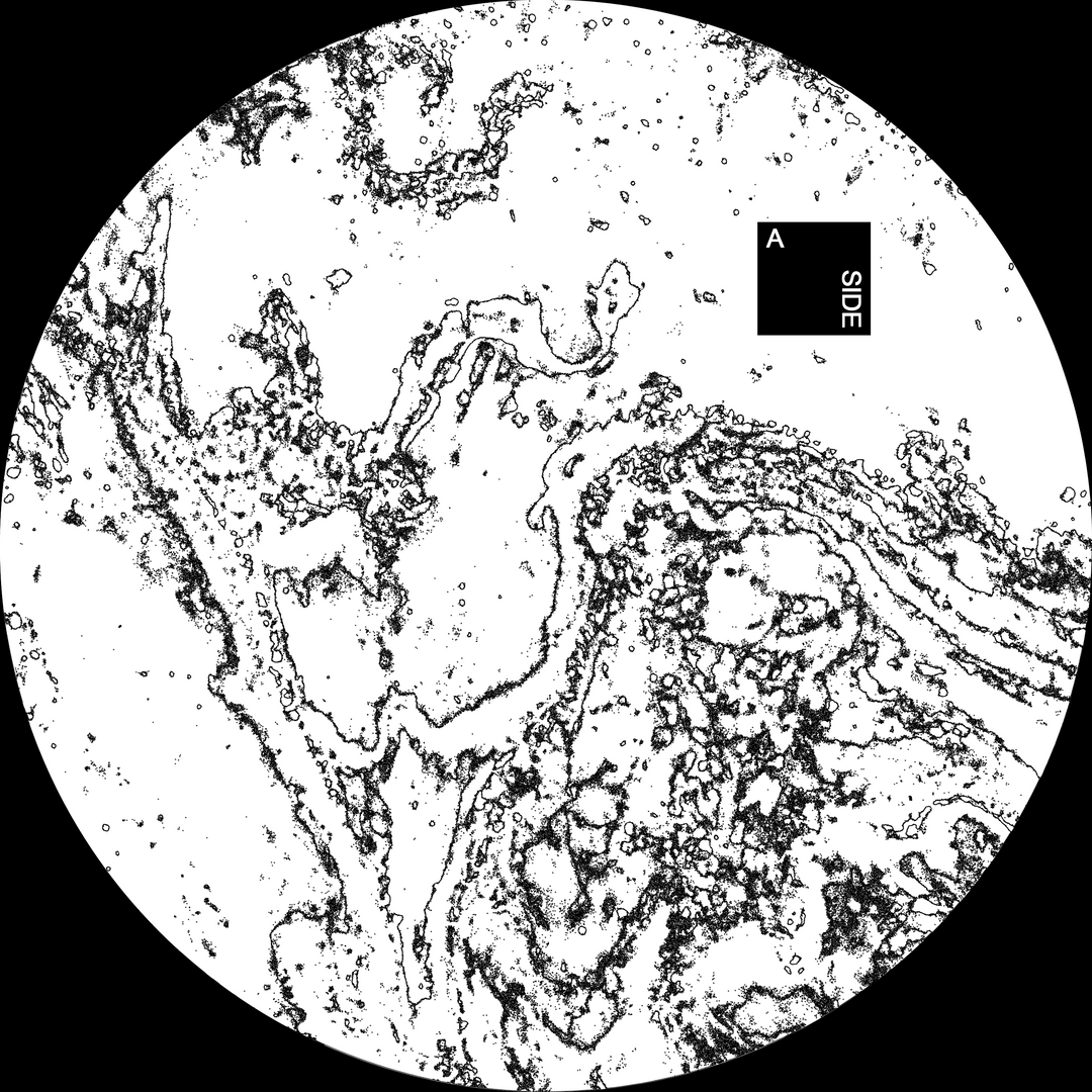 Music: Persevere (Vinyl, 12MCSL014)