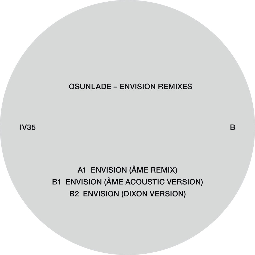 Envision Remixes EP