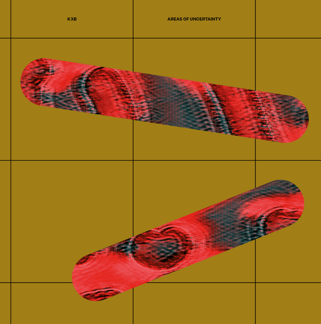 Music: Areas Of Uncertainty (Vinyl, RIO11)