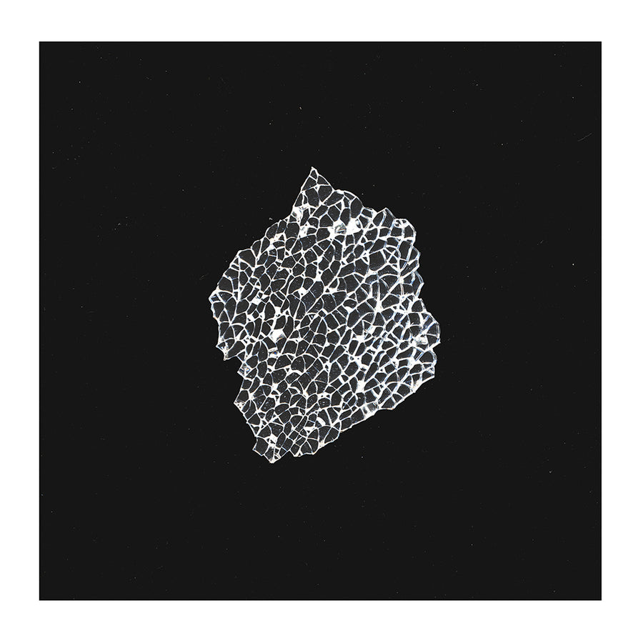 Music: ​Festnetz (Vinyl, SIAMESE005)